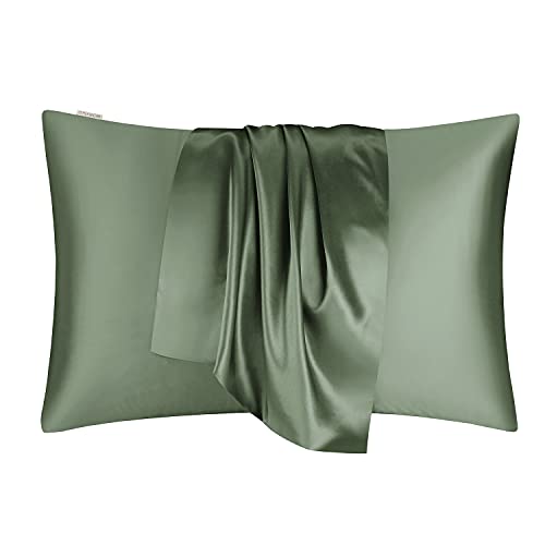 DISANGNI 100% Natural Mulberry Silk Pillow case for Hair and Skin with Hidden Zipper 22 Momme Both Sides Real Silk Pillow Case 1pc (Green, 2 Pack Standard Size 20"x26")