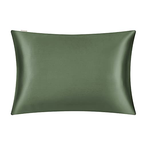 DISANGNI 100% Natural Mulberry Silk Pillow case for Hair and Skin with Hidden Zipper 22 Momme Both Sides Real Silk Pillow Case 1pc (Green, 2 Pack Standard Size 20"x26")