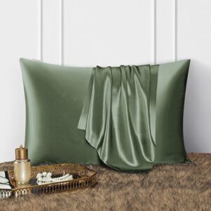 DISANGNI 100% Natural Mulberry Silk Pillow case for Hair and Skin with Hidden Zipper 22 Momme Both Sides Real Silk Pillow Case 1pc (Green, 2 Pack Standard Size 20"x26")