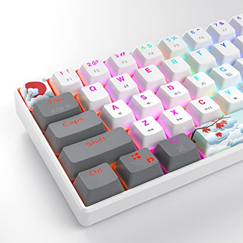 Owpkeenthy RGB Mechanical Keyboard 60 Percent Red Switches, Ultra-Compact Mini Wired Gaming Keybaord with Backlit PBT Dye-Sub Keycaps for Win/Mac/PC (White/Red Switch)