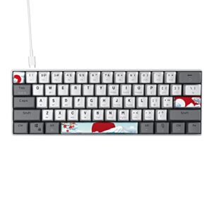 Owpkeenthy RGB Mechanical Keyboard 60 Percent Red Switches, Ultra-Compact Mini Wired Gaming Keybaord with Backlit PBT Dye-Sub Keycaps for Win/Mac/PC (White/Red Switch)