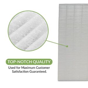 Homeland Goods True HEPA Replacement Filter S, Compatible with Winix C545 Air Purifier, Replaces Winix S Filter 1712-0096-00, H13 Grade 1 True HEPA Filter + 4 Activated Carbon Filters (2)