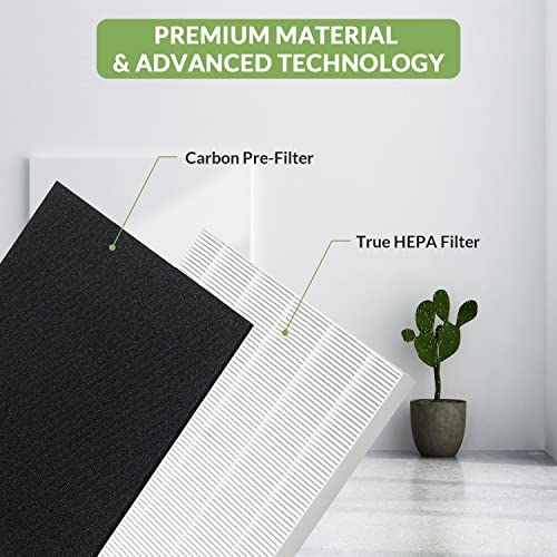 Homeland Goods True HEPA Replacement Filter S, Compatible with Winix C545 Air Purifier, Replaces Winix S Filter 1712-0096-00, H13 Grade 1 True HEPA Filter + 4 Activated Carbon Filters (2)