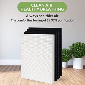 Homeland Goods True HEPA Replacement Filter S, Compatible with Winix C545 Air Purifier, Replaces Winix S Filter 1712-0096-00, H13 Grade 1 True HEPA Filter + 4 Activated Carbon Filters (2)