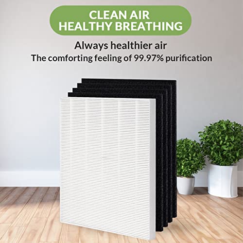 Homeland Goods True HEPA Replacement Filter S, Compatible with Winix C545 Air Purifier, Replaces Winix S Filter 1712-0096-00, H13 Grade 1 True HEPA Filter + 4 Activated Carbon Filters (1)