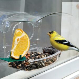 Audubon Mixed Treat Window Bird Feeders, Pack of 4