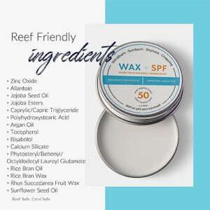 Reef Safe Sunscreen SPF 50 Mineral Face Balm, Hawaii & Mexico Approved, Biodegradable, Zinc, Allantoin, Oxybenzone & Octinoxate Free, Water Resistant, Biodegradable, Natural Ingredients by Coral Safe