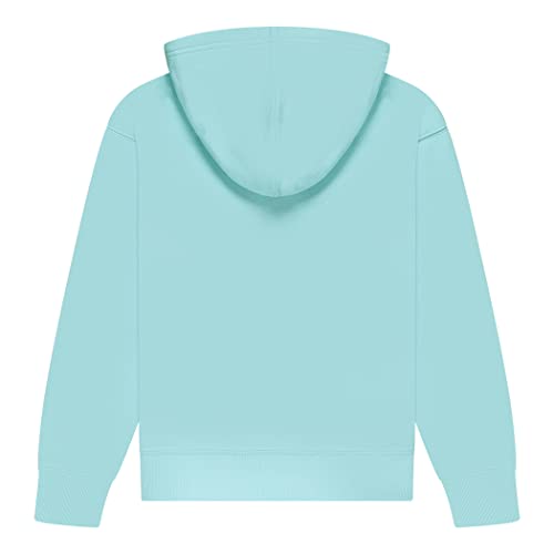 Champion Girls Sweatshirt Full Zip Up Fleece Hoody Sweatshirt Top Kids Clothes (Signature Blue Mist, Large)