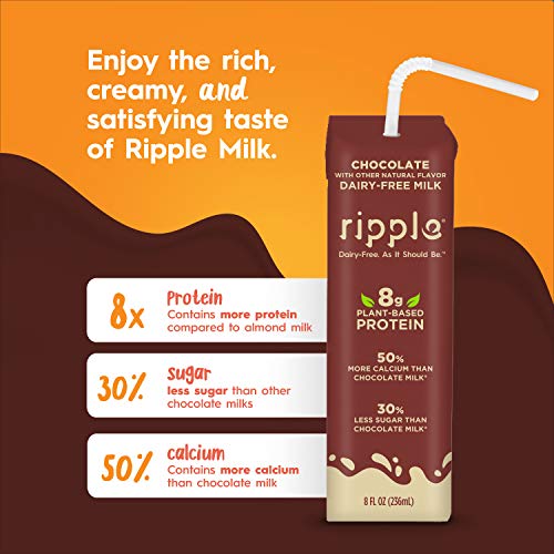 Ripple Vegan Protein Shake, Chocolate 12 Fl Oz (12 Pack) & Ripple Vegan 8 oz Dairy-Free Milk, Chocolate (12 Pack) | 24 Pack