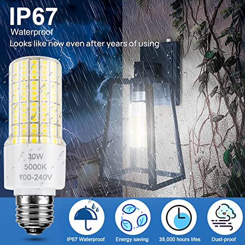 RIUVAO 2 Pack Led Light Bulb Equivalent 250w 3750 Lumen 5000K Cool Daylight White 30W Waterproof Corn Bulb E26/E27 Medium Base for Outdoor Indoor Garage Workshop Backyard