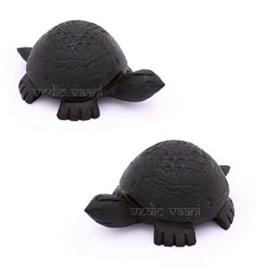 vedic vaani shree yantra on tortoise vastu shaligram for wealth and protection (1 pcs)