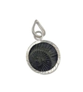 numeroastro shaligram pendant | chakra pendant | natural & original shaligram pendant for men & women (1 pc), standard, stone, no gemstone
