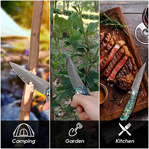 Benkey Damascus Pocket Knife with Clip Leather Sheath Sharp VG10 Core Folding Knife, EDC with Liner Lock Unique Abalone Seashells Handle for Outdoor Survival Camping Collection