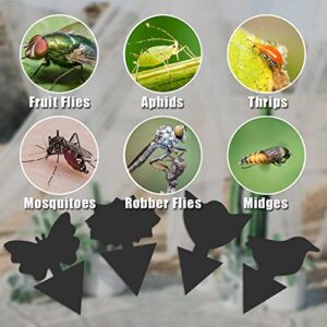 36 Pack Fungus Gnat Traps for House Plants, Black Sticky Traps for Indoor Outdoor Use to Get Rid of Whitefly Mosquitoes Fungus Gnats Thrips Leafminer Flying Insects Protect Your Plants