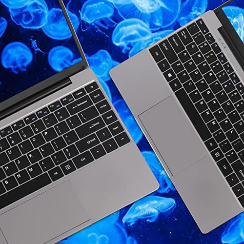 Ruzava/Aocwei Laptop Win 10 14" 6GB DDR4 64GB Storage Intel N4020 (Up to 2.8Ghz) 2-Core 1920x1080 FHD Dual WiFi BT 4.2 Mini HDMI Support 512GB TF 1TB SSD Expand for Work Study Entertainment-Gray