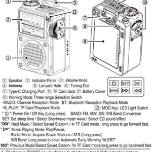ZHIWHIS Bluetooth Speakers, Portable Radio with Sleep Timer, Weather AM FM Shortwave Radios with Best Sound, Retro Analog Tuner with Preset, Rechargeable MP3 Player Support MicroSD Card