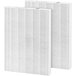 115115 size 21 replacement filter a true hepa for winix c535, winix plasmawave 5300-2, 5300, 6300-2, 6300, p300 plasma wave air purifier, compare to part # 115115, 2 pack hepa filter only