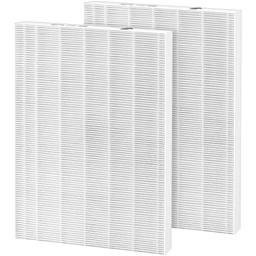 115115 Size 21 Replacement Filter A True HEPA for Winix C535, Winix PlasmaWave 5300-2, 5300, 6300-2, 6300, P300 Plasma wave Air Purifier, Compare to Part # 115115, 2 Pack HEPA Filter Only