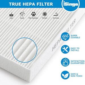 115115 Size 21 Replacement Filter A True HEPA for Winix C535, Winix PlasmaWave 5300-2, 5300, 6300-2, 6300, P300 Plasma wave Air Purifier, Compare to Part # 115115, 2 Pack HEPA Filter Only