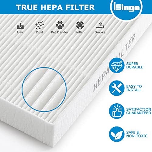 115115 Size 21 Replacement Filter A True HEPA for Winix C535, Winix PlasmaWave 5300-2, 5300, 6300-2, 6300, P300 Plasma wave Air Purifier, Compare to Part # 115115, 2 Pack HEPA Filter Only