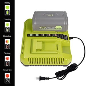 CHAUNVEN 40V Charger for Ryobi, OP401 40 Volt Lithium ion Battery Dual Charger for OP4015 OP4026 OP4030 OP4040 OP4050 OP4060 Battery