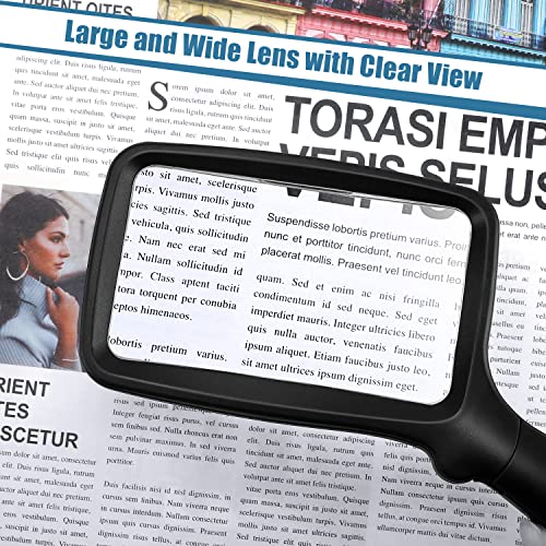 Folding Handheld Magnifying Glass with Light, 3X Large Rectangle Reading Magnifier with Dimmable LED for Seniors with Macular Degeneration, Newspaper, Books, Small Print, Lighted for Low Visions Black