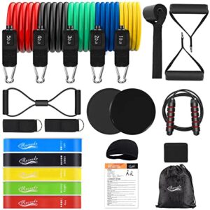 resistance bands set 17pcs, resistance band, exercise bands fitness workout with wide handles, door anchor, steel clasp, carry bag, ankle straps for home gym outdoor travel (23pcs-colour)