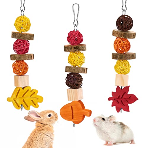 Xylolfsty Fall Themed Chew Toys for Rabbit Dwarf Hamster Bunny Guinea Pig Chinchilla Gerbil Pet Rat Small Animals Cage Hanging Teeth Grinding Accessories Autumn Thanksgiving Gifts 3PCS