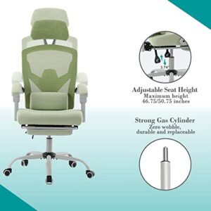 Ergonomic Office Chair, Reclining High Back Mesh Chair, Computer Desk Chair, Swivel Rolling Home Task Chair with Lumbar Support Pillow, Adjustable Headrest, Retractable Footrest and Padded Armrests