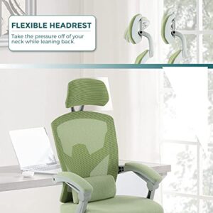 Ergonomic Office Chair, Reclining High Back Mesh Chair, Computer Desk Chair, Swivel Rolling Home Task Chair with Lumbar Support Pillow, Adjustable Headrest, Retractable Footrest and Padded Armrests