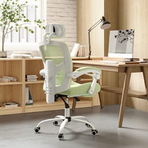 Ergonomic Office Chair, Reclining High Back Mesh Chair, Computer Desk Chair, Swivel Rolling Home Task Chair with Lumbar Support Pillow, Adjustable Headrest, Retractable Footrest and Padded Armrests