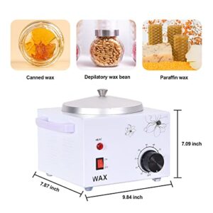 WAOYPGZ Kit Portable Wax Warmer Machine for Painless Hair Removal, Depilatory Wax Heater Metal Large Capacity Wax Warmer Fast Melt Epilator Machine Hair Removal for All Waxs (Soft,Hard,Paraffin)
