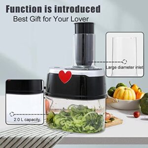 Vegetable Slicer 4 in 1 Electric Cheese Grater Stainless Steel Vegetable Shredder in Kitchen Tools,Black…