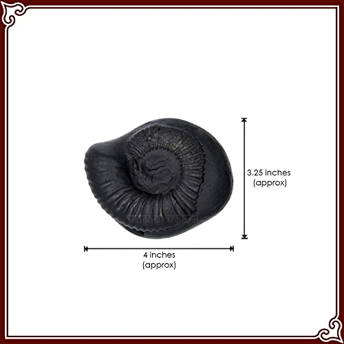 Vedic Vaani Sacred Varaha Lakshmi Laxmi Shankhu Shaligram Shila (Pack of 4)