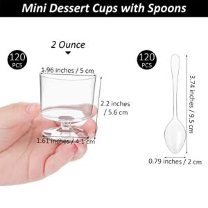 Ruisita 120 Packs 2 Ounces Mini Dessert Cups with Spoons Footed Trifle Bowl with Pedestal Clear Plastic Wine Glasses Parfait Appetizer Cups Serving Bowls for Tasting Party, Wedding, Birthday