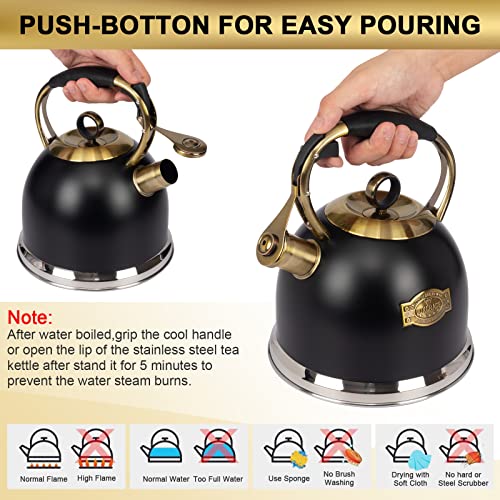 Tea Kettle -3.0 Quart Tea Kettles Stovetop Whistling Teapot Stainless Steel Tea Pots for Stove Top Whistle Tea Pot