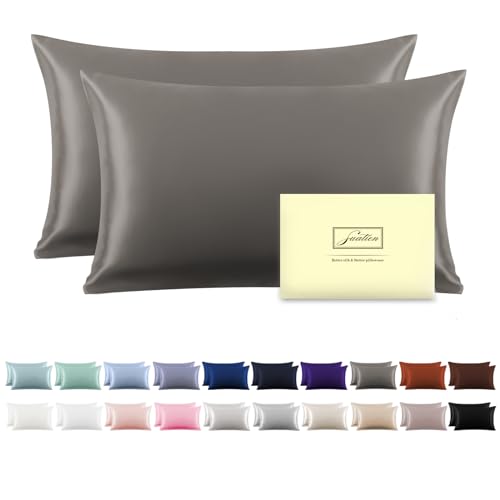 Silk Pillowcase for Hair and Skin,Soft,Breathable and Sliky 100% Standard Size Pillow Cases Set of 2,Both Sides Natural Mulberry Silk Pillowcases with Hidden Zipper(Standard Size 20"X 26",2pcs)