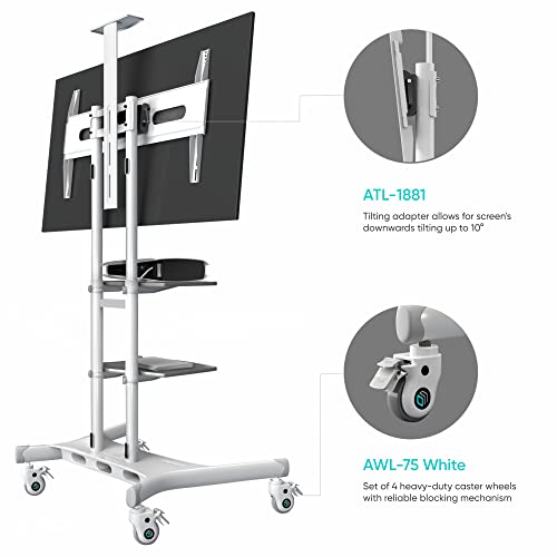 ONKRON Mobile TV Stand for 50-83 Inch LCD LED OLED TVs up to 200 lbs with TV Mount Tilt Adapter up to 10 Degrees and Swivel Locking Caster Wheels TS1881 White+ATL1881+AWL75wht (3 Items Bundle)