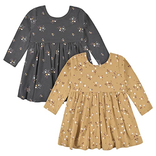 Gerber Baby Girls' Toddler 2-Pack Long Sleeve Dresses, Dark Floral, 18 Months