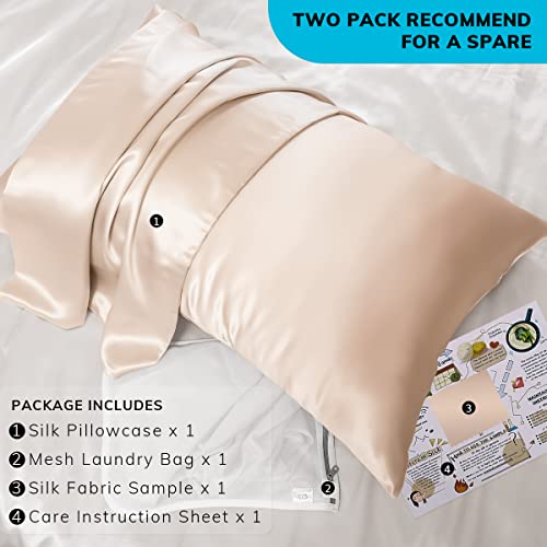 PROMEED 23 Momme Silk Toddler Pillowcase 13x18, Both Sides Highest Grade 6A+ Mulberry Silk Pillow Case Travel Size with Free Laundry Bag (Toddler/Travel-13 x18, Champagne)