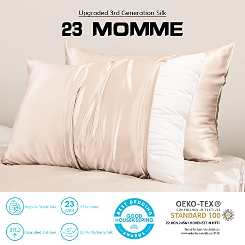 PROMEED 23 Momme Silk Toddler Pillowcase 13x18, Both Sides Highest Grade 6A+ Mulberry Silk Pillow Case Travel Size with Free Laundry Bag (Toddler/Travel-13 x18, Champagne)
