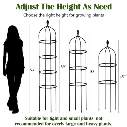 Garden Obelisk Trellis for Climbing Plants Outdoor 6 Ft Rose Bush Round Trellis for Pots Rustproof Metal Plant Flower Trellises for Clematis Vine Jasmine Support Outdoor Indoor