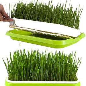 3 Layers Seed Sprouting Kit with 6-Pack Seed Sprouter Tray BPA Free for Alfalfa Sprouts Wheatgrass Grower Sprouting, Stainless Steel Shelf Seed Sprouting Tray