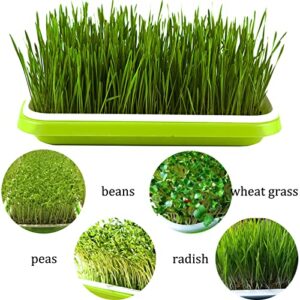 3 Layers Seed Sprouting Kit with 6-Pack Seed Sprouter Tray BPA Free for Alfalfa Sprouts Wheatgrass Grower Sprouting, Stainless Steel Shelf Seed Sprouting Tray