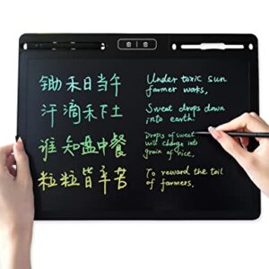 Large LCD Writing Board 16 Inches with 2 Delete Keys and Split Screen for Local Erasing, Electronic Drawing and Doodle Tablet for Adult and Kid with 2 Pens, Nice Holiday or Birthday Present (Black)