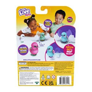 Little Live Pets Surprise Chick: Interactive Collectible Toy - Pink Egg