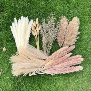 100pcs pampas grass boho home decor 17 inch natural dried flowers-pampas grass contains bunny tails white pampas brown pampas.boho decor for farmhouse wedding boho wall bathroom office kitchen…