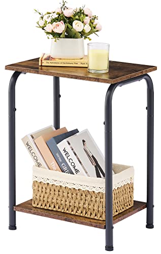 Tajsoon Small End Table with 2 Tier Storage Shelves, Small Side Table for Small Spaces, Sofa Table, Bedside Table, Small Table for Living Room, Bedroom, Sturdy Frame & Easy Assembly