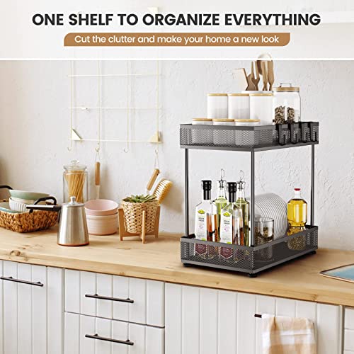 Bathroom ,Kitchen Sink Cabinet Organizer, 2 Tier Under Sink , Under Cabinet Organizers and Storage with 4 Hooks,Non-slip Feet, Metal