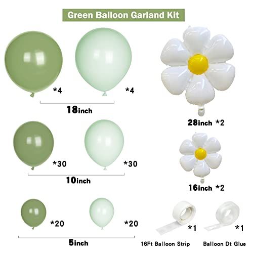 BIRSAT Daisy Balloon Arch Kit for Girls Pastel Green Birthday Decorations, Sage Green Balloons Garland for Women Neutral Jungle Baby Shower Party Supplies, Greenery Flower Theme Bridal Shower Parties